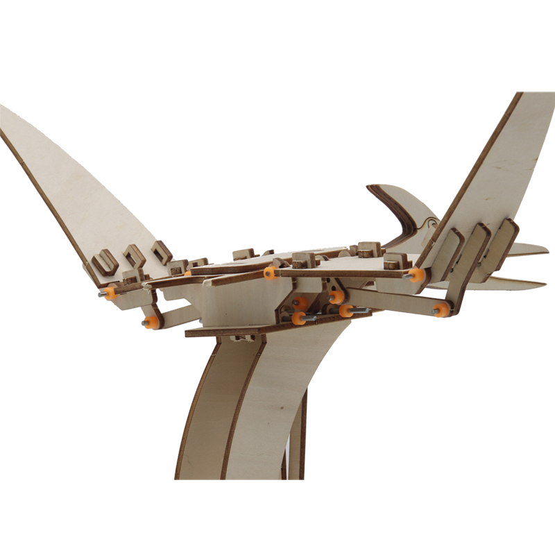 Electric Building Blocks Pterosaur Wooden Model Toys DIY Take Apart Dinosaur Wooden 3D Puzzle For Adults
